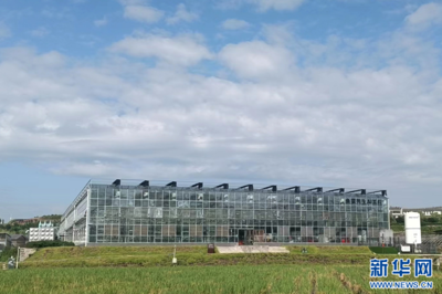 聚焦高質量發展｜重慶 深挖數據價值，賦能千行百業金融中介服務