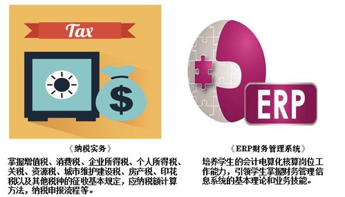 湖南商務(wù)職業(yè)技術(shù)學(xué)院會(huì)計(jì)學(xué)院 聚焦財(cái)務(wù)管理與金融中介服務(wù)的人才培養(yǎng)高地